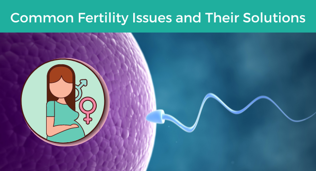 Common Fertility Issues