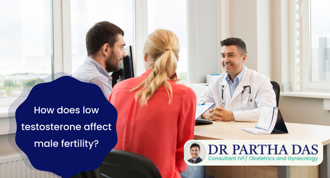 How does low testosterone affect male fertility?