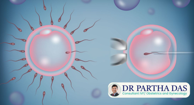 ICSI success rate by age